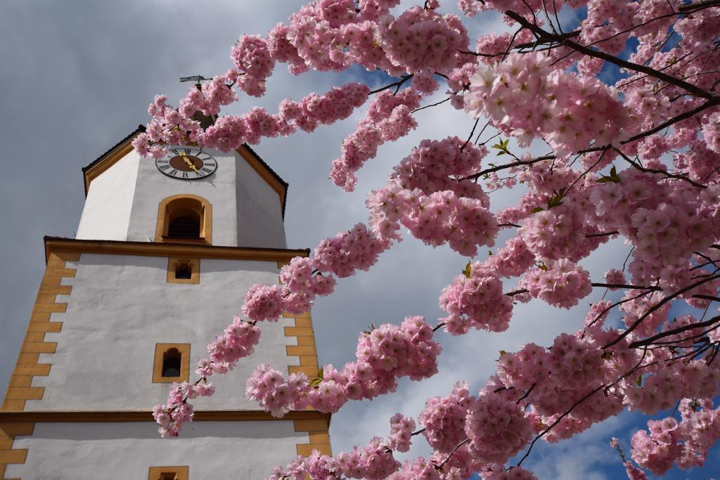 Zum Waldnaabtal Hotel Windischeschenbach Екстериор снимка