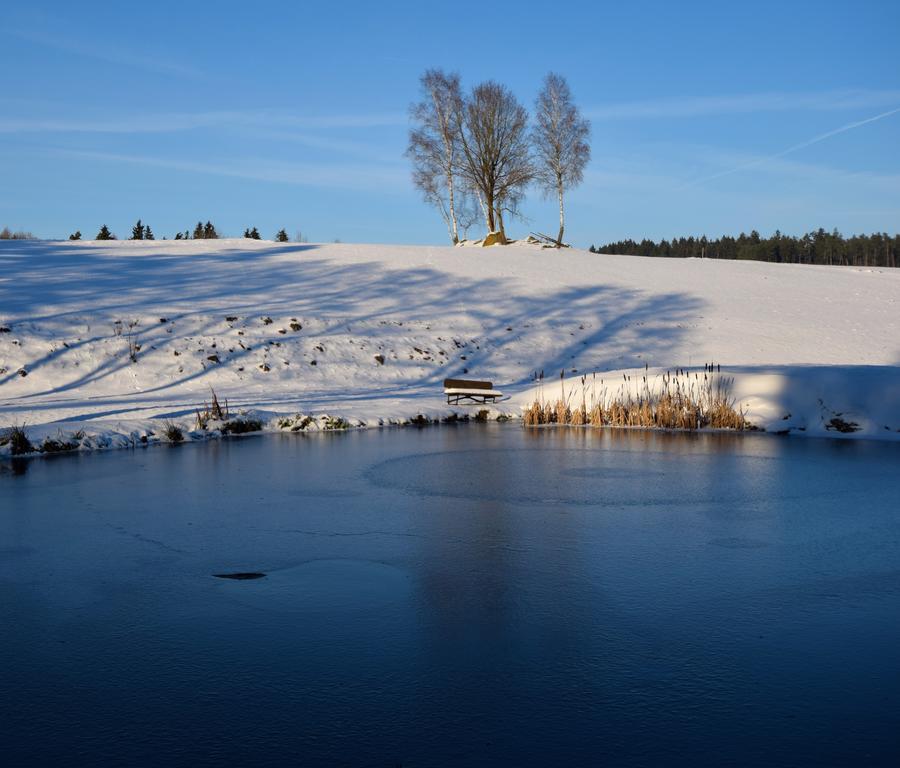 Zum Waldnaabtal Hotel Windischeschenbach Екстериор снимка